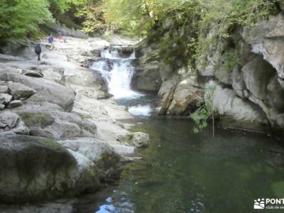 Selva de Irati - Puente del Pilar rutas de senderismo madrid actividades sierra de madrid mochilas t